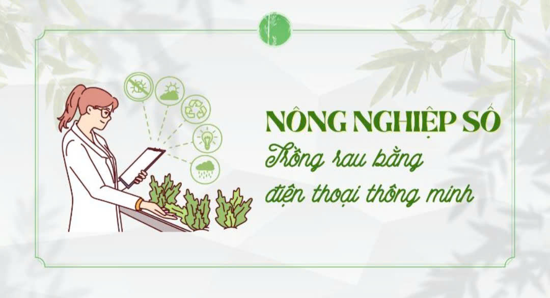 Nông nghiệp số: Trồng rau bằng điện thoại thông minh