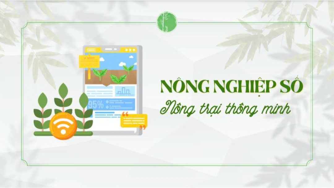 Nông nghiệp số: Nông trại thông minh